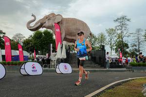 BIB: 
                            <button type="button" onclick="openModal(26528568)" class="btn btn-primary btn-sm float-right btn-popup" data-toggle="modal" data-target=".modal-high-quality">
                        <i class="fas fa-shopping-cart"></i> Add to Cart
                    </button>
                                            <button type="button" onclick="isThisMe(26528568, true)" class="btn btn-success btn-sm float-right btn-popup btn-isme hidden" data-toggle="tooltip" data-placement="bottom" title="นี่คือรูปของคุณใช่ไหม คลิกที่นี่เพื่อเอาเข้าอัลบั้ม">
                        <i class="fas fa-plus"></i> Add to album
                    </button>
                    <button type="button" onclick="isThisMe(26528568, false)" class="btn btn-warning btn-sm float-right btn-popup btn-isnotme hidden">
                        <i class="fas fa-ban"></i> Remove from album
                    </button>